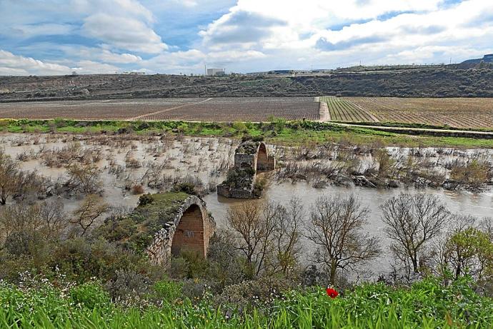 Imagen de los restos de la construcción antes del último colapso de la estructura en la parte logroñesa del río Ebro.