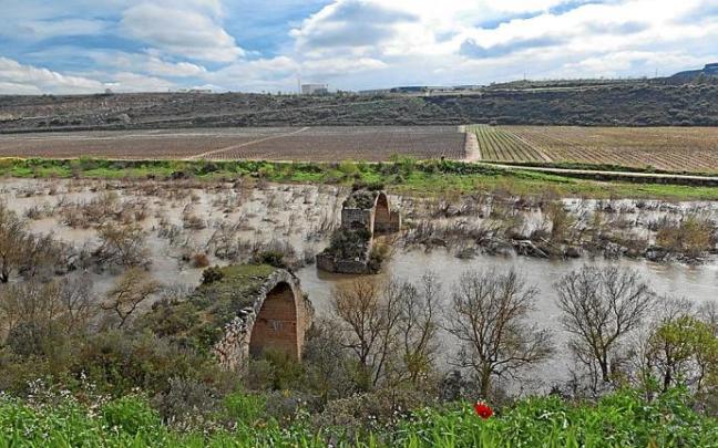 Imagen de los restos de la construcción antes del último colapso de la estructura en la parte logroñesa del río Ebro.