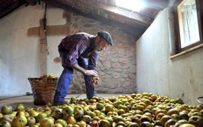El inolvidable elizondarra Rafa Barragan (+) seleccionando manzanas para llevarlas al 'dolare' en el que serán machacadas y exprimidas. El inolvidable elizondarra Rafa Barragan (+) seleccionando manzanas para llevarlas al 'dolare' en el que serán machacadas y exprimidas.