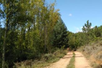 Las rutas por La Burela burgalesa combinan paisaje humanizado con bosques primigenios.