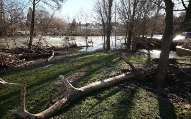 Imagen captada hoy miércoles en la zona de las pasarelas del Club Natación, llenas de ramas tras las riadas.