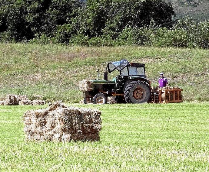 Un agricultor haciendo fardos de paja con un tractor. Foto: Josu Chavarri