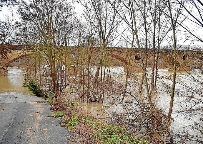 El río Ebro a su paso por Elciego durante una reciente crecida.