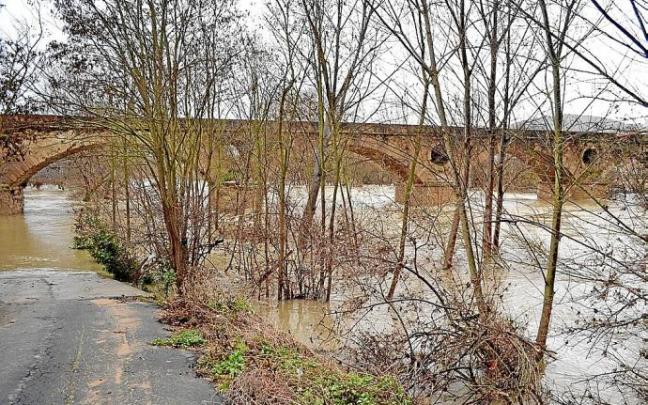 El río Ebro a su paso por Elciego durante una reciente crecida.