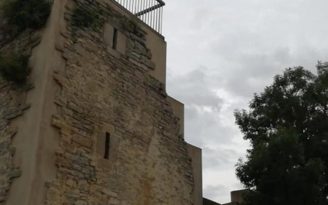 Rescate de cría de Cigüeña en Garaio