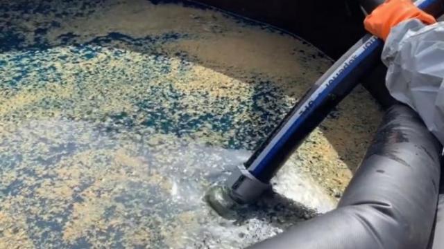Agua contaminada.