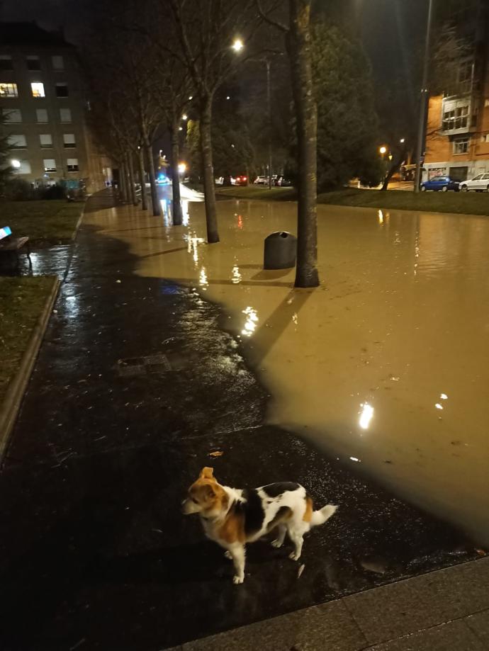 Balsa de agua que inunda el carril BEI en Castillo de Fontecha, en Ariznabarra.
