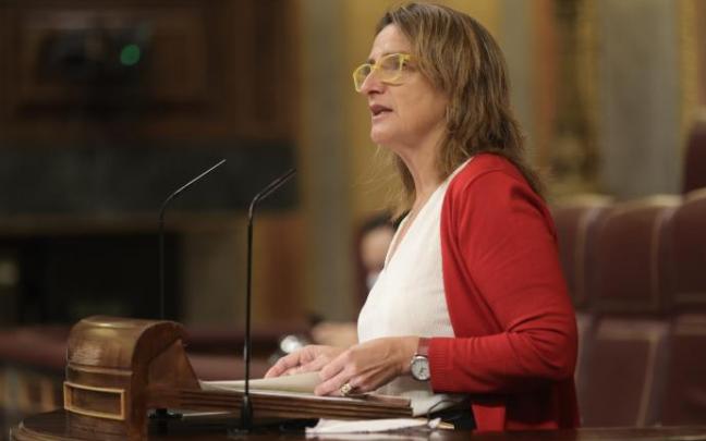 Teresa Ribera, hoy en el Congreso. Teresa Ribera, hoy en el Congreso.