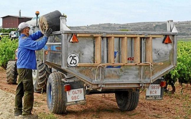 Un temporero vendimia en la Rioja Alavesa. Foto: DNA