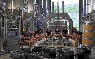 La vendimia de Bodegas Altún