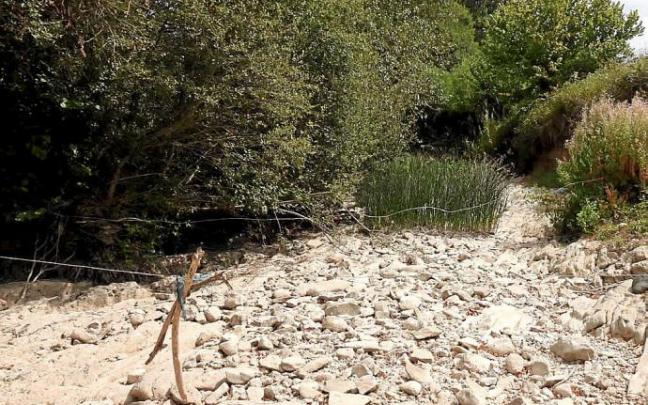 Sin agua ni oxígeno Sin agua ni oxígeno