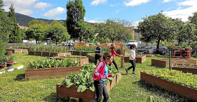 Imagen que presenta el huerto urbano de Rochapea.