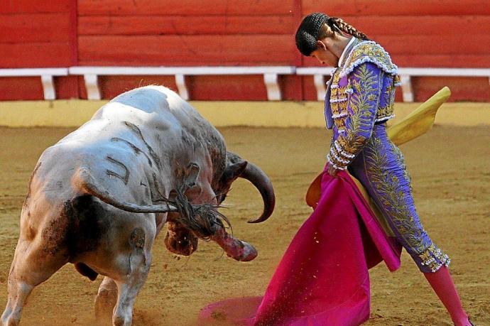 Rocío Romero cuajó un buen saludo al 3º, 'Rompedor', en despaciosas verónicas y una media de cartel. Fotos: Manuel Sagüés