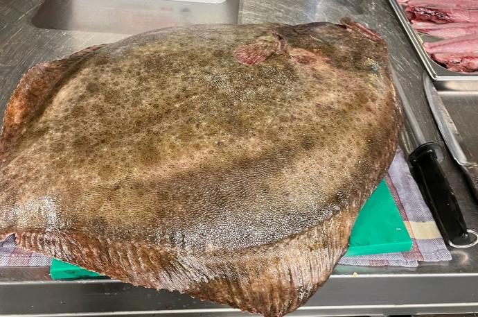 El rodaballo gigante de 12 kilos, sobre una tabla que desborda por todos lados en la cocina de La Cuchara de Martín.