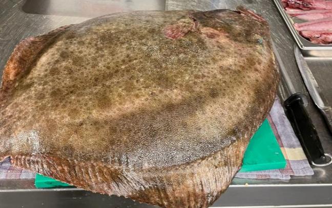 El rodaballo gigante de 12 kilos, sobre una tabla que desborda por todos lados en la cocina de La Cuchara de Martín.