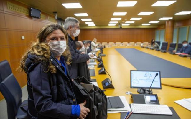 La consejera de Salud, Gotzone Sagardui, en la Comisión de Salud