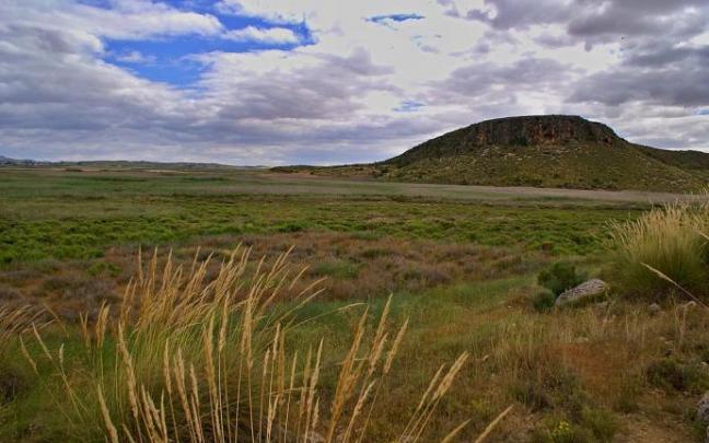 Panorámica general del Saladar de Cordovilla.