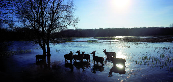 Octubre es mes de berrea en el humedal y este año, las 19 salidas realizadas por el Centro de Estudios Ambientales han sido un "éxito".