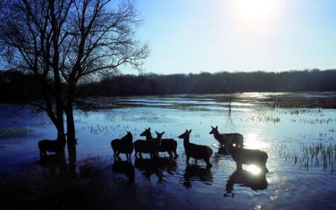 Octubre es mes de berrea en el humedal y este año, las 19 salidas realizadas por el Centro de Estudios Ambientales han sido un "éxito".