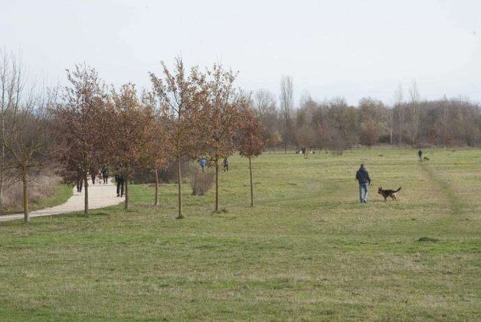 Parque de Salburua, en cuyas inmediaciones se produjo el atropello