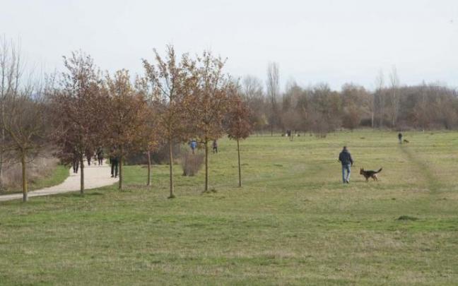 Parque de Salburua, en cuyas inmediaciones se produjo el atropello