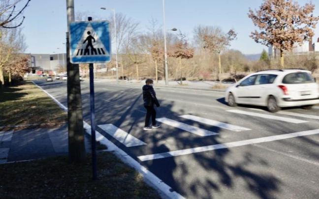 Paso de cebra del Paseo de los Humedales