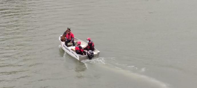 Una lancha de la Ertzaintza busca en el río Ebro.