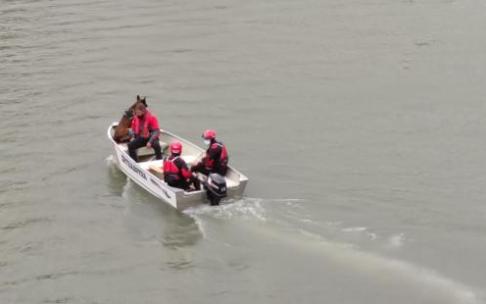 Una lancha de la Ertzaintza busca en el río Ebro.