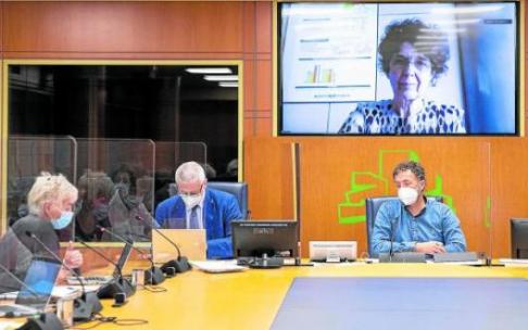 La Comisión de Salud del Parlamento Vasco acogió ayer, a petición de EH Bildu, la comparecencia telemática de Itziar Larizgoitia para informar sobre los criterios de vacunación. Foto: Efe La Comisión de Salud del Parlamento Vasco acogió ayer, a petición de EH Bildu, la comparecencia telemática de Itziar Larizgoitia para informar sobre los criterios de vacunación. Foto: Efe