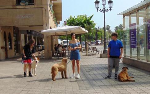 'No Compres, Adopta' busca un nuevo hogar a una decena de animales abandonados.