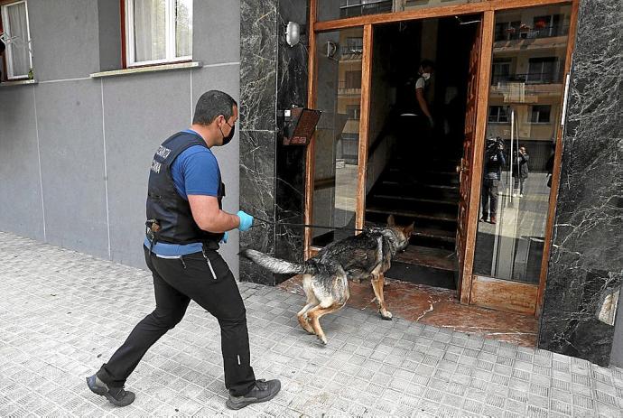 Un ertzaina accede con un perro al portal del edificio en el que reside el detenido en Irun. Foto: Efe