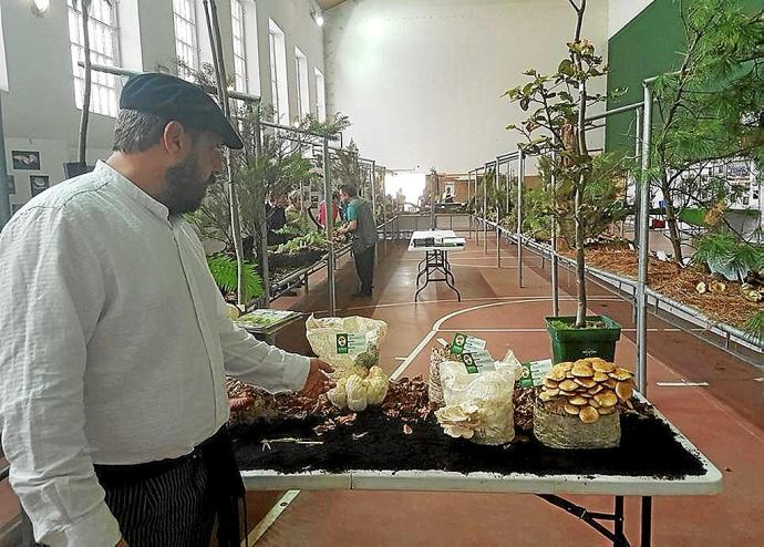 Exposición de setas recogidas en la zona de Gorbeia. Foto: P. J. Pérez