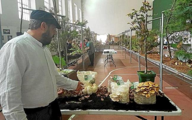 Exposición de setas recogidas en la zona de Gorbeia. Foto: P. J. Pérez