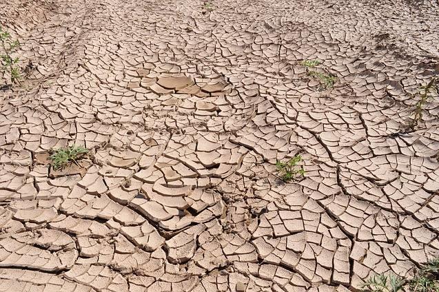 Tierra quebrada por la sequía y falta de lluvia.