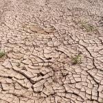 Tierra quebrada por la sequía y falta de lluvia.