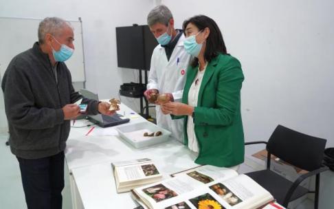 Un aficionado a la micología resuelve sus dudas en el servicio de identificación de setas.