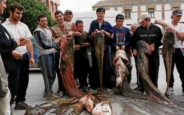 Pescadores posando con los siluros pescados en el pantano de Mequinenza. Foto: Antonio Remón
