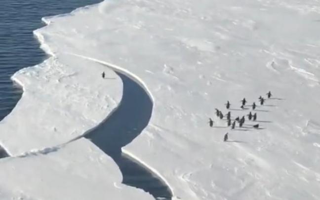Momento del vídeo en el que se separa la placa de hielo. Momento del vídeo en el que se separa la placa de hielo.
