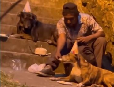El hombre, compartiendo la tarta con sus perros en la calle.