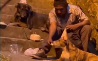 El hombre, compartiendo la tarta con sus perros en la calle. El hombre, compartiendo la tarta con sus perros en la calle.