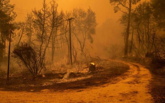 Los grandes incendios son una de la consecuencia del cambio climático.
