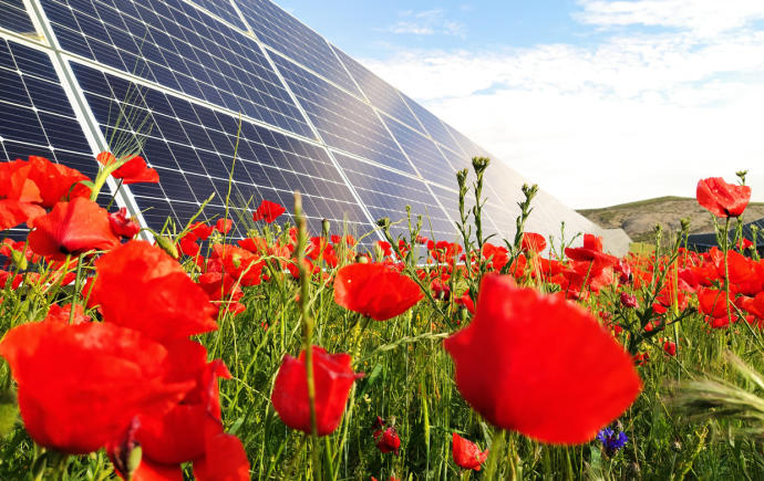 Limpia, verde y a un precio más razonable, así es la energía solar fotovoltaica