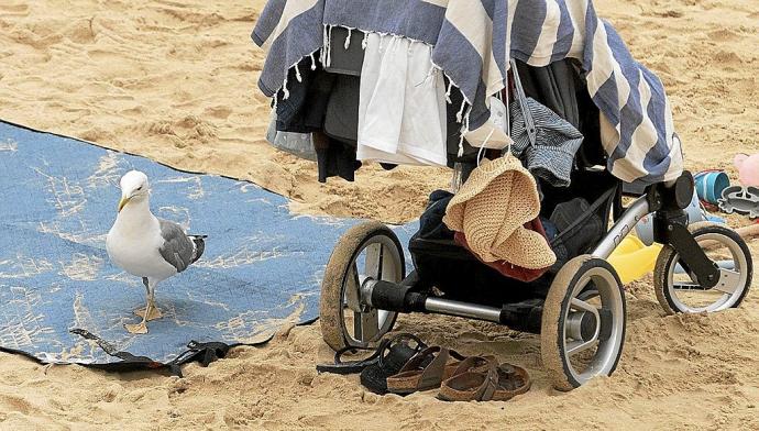 Una gaviota posada en una toalla junto a una sillita infantil.