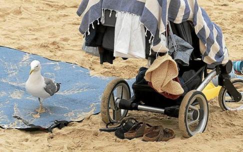 Una gaviota posada en una toalla junto a una sillita infantil. Una gaviota posada en una toalla junto a una sillita infantil.
