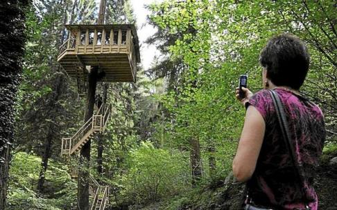 Cabañas en los árboles en Zeanuri. Foto: David de Haro