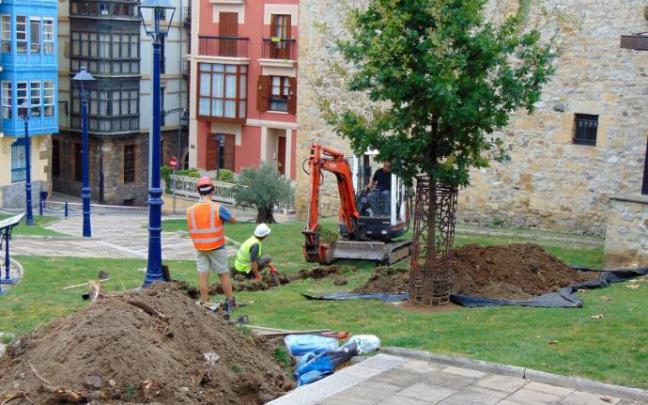 Los sondeos arqueológicos comenzaron ayer lunes. Los sondeos arqueológicos comenzaron ayer lunes.