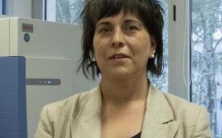 Sonia García de Madinabeitia, profesora del Departamento de Geología de la UPV/EHU. Sonia García de Madinabeitia, profesora del Departamento de Geología de la UPV/EHU.