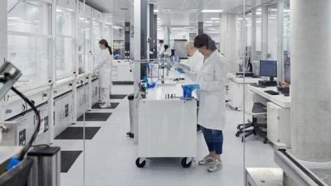 La ciencia en Euskadi se escribe en femenino