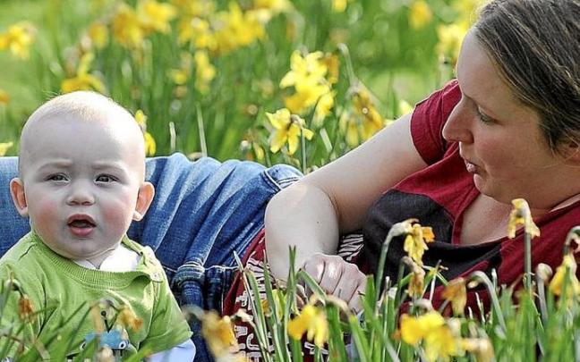 En Euskadi, cada vez más mujeres aplazan el primer hijo a los 40 años. En Euskadi, cada vez más mujeres aplazan el primer hijo a los 40 años.