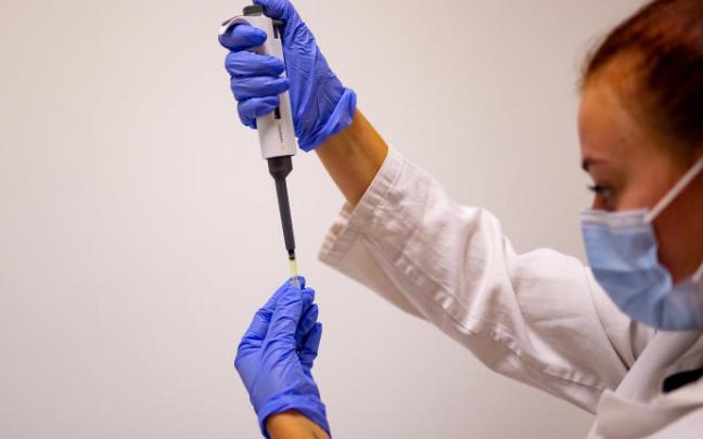 Una sanitaria analiza una muestra tras realizar una PCR.